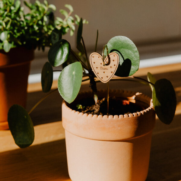 Pic Botanique avec tige en métal et élément en bois de bouleau en forme de cœur avec écriture "bisou" dans une plante