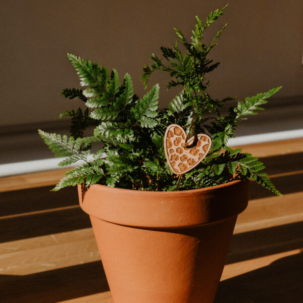 Pic Botanique avec tige en métal et élément en bois de bouleau en forme de cœur avec motif léopard dans une plante