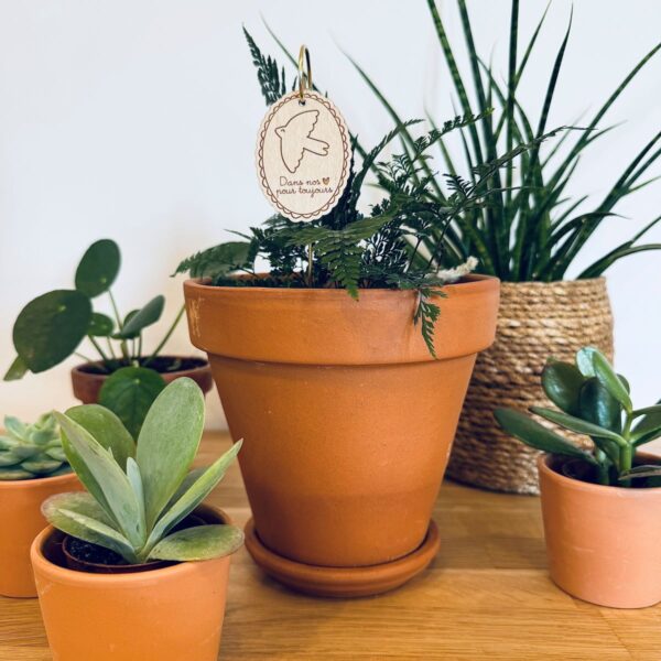 Pic Botanique avec tige en métal et élément en bois de bouleau en forme de colombe dans une plante
