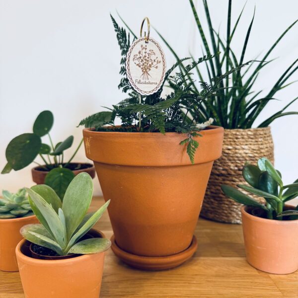 Pic Botanique avec tige en métal et élément en bois de bouleau "félicitations" dans une plante