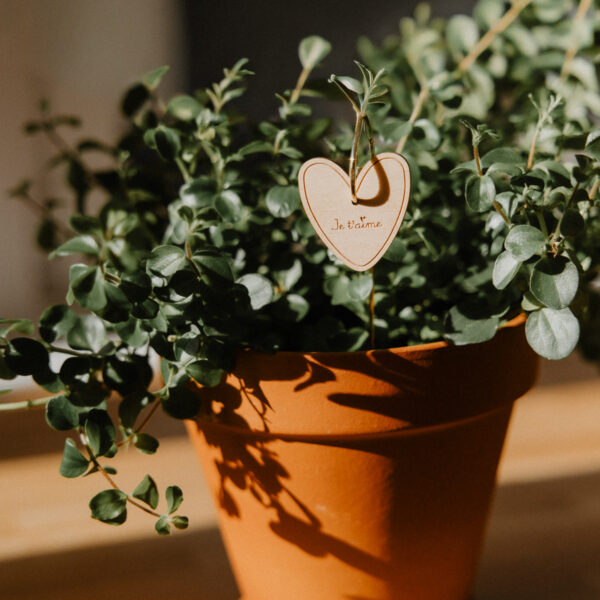 Pic Botanique avec tige en métal et élément en bois de bouleau en forme de cœur et écriture "je t'aime" dans une plante