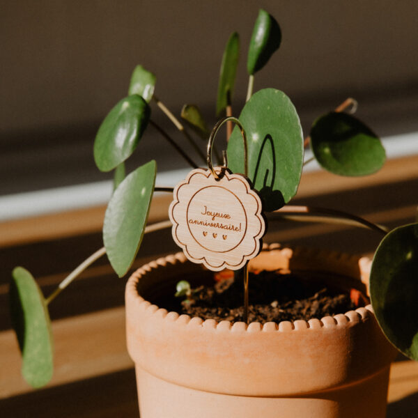 Pic Botanique avec tige en métal et élément en bois de bouleau en forme de pot de fleur et écriture "joyeux anniversaire" dans une plante