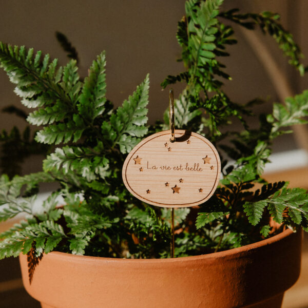 Pic Botanique avec tige en métal et élément en bois de bouleau en forme de pot de fleur et écriture "la vie est belle" dans une plante