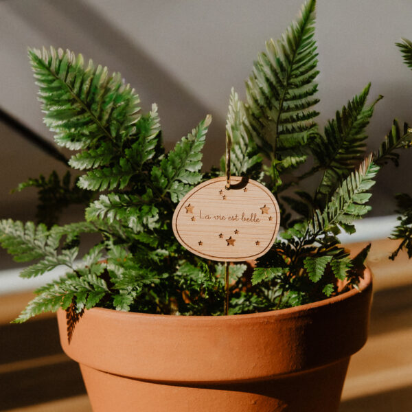 Pic Botanique avec tige en métal et élément en bois de bouleau en forme de pot de fleur et écriture "la vie est belle" dans une plante