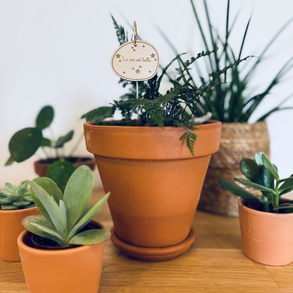 Pic Botanique avec tige en métal et élément en bois de bouleau écriture "la vie est belle" dans une plante