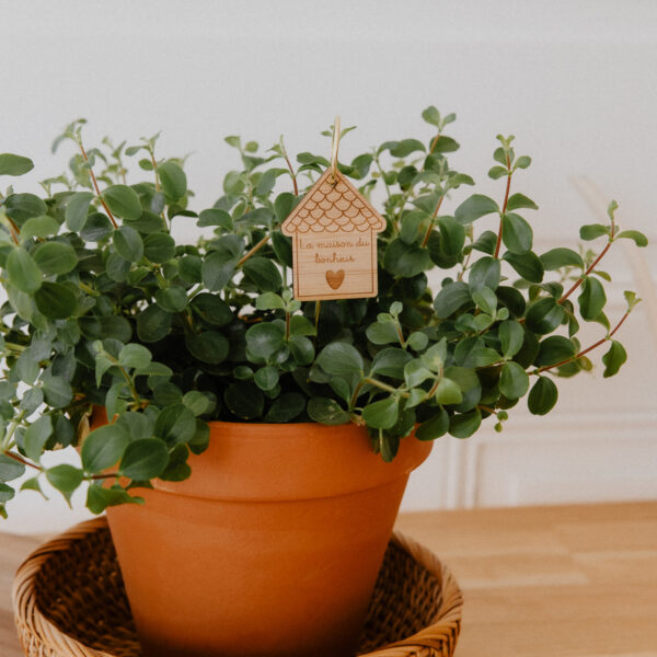 Pic Botanique avec tige en métal et élément en bois de bouleau en forme de pot de fleur et écriture "la maison du bonheur" dans une plante