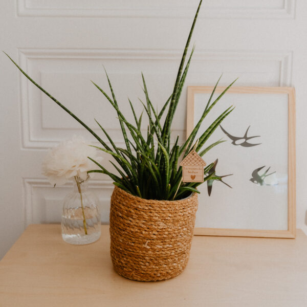 Pic Botanique avec tige en métal et élément en bois de bouleau en forme de pot de fleur et écriture "la maison du bonheur" dans une plante