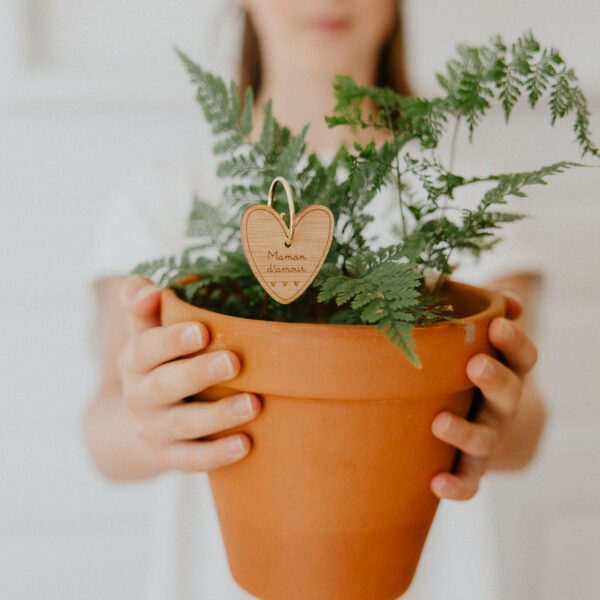 Pic Botanique avec tige en métal et élément en bois de bouleau en forme de cœur et écriture "maman d'amour" dans une plante