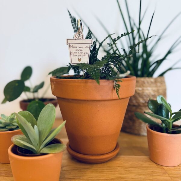Pic Botanique avec tige en métal et élément en bois de bouleau en forme de pot de fleur et écriture "merci pour cette année" dans une plante