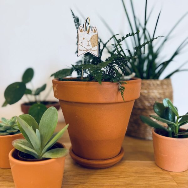 Pic Botanique avec tige en métal et élément en bois de bouleau en forme de chat et écriture "pas touche minou" dans une plante