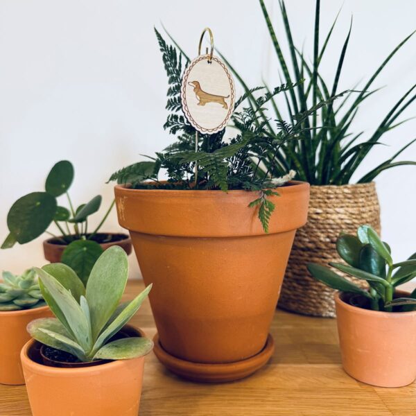 Pic Botanique avec tige en métal et élément en bois de bouleau en forme de teckel dans une plante