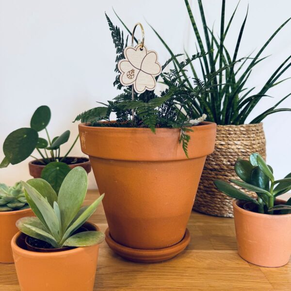 Pic Botanique avec tige en métal et élément en bois de bouleau en forme de trèfle avec une coccinelle dans une plante