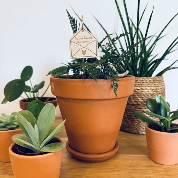 Pic Botanique avec tige en métal et élément en bois de bouleau en forme de lettre avec écriture "tu vas bientôt être mamie" dans une plante