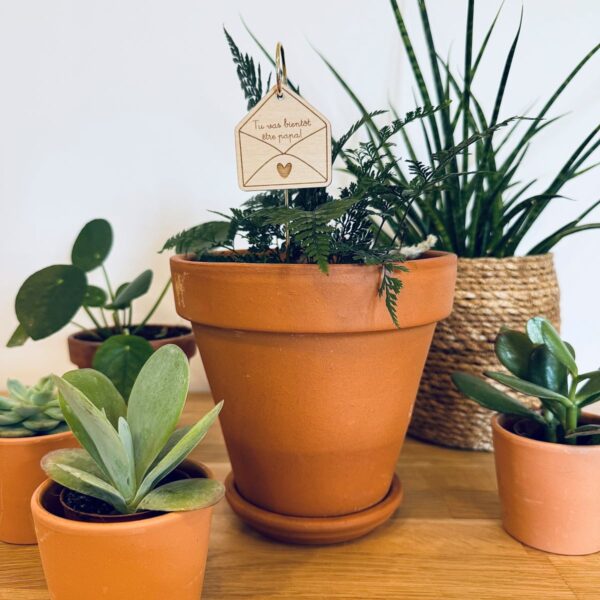 Pic Botanique avec tige en métal et élément en bois de bouleau en forme de lettre avec écriture "tu vas bientôt être papa" dans une plante