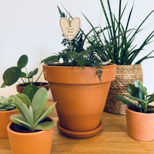 Pic Botanique avec tige en métal et élément en bois de bouleau en forme de cœur et écriture "maman chérie" dans une plante