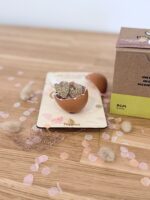 Pin's en feutrine pailletée doré en frome de lapin dans une coquille d'oeuf